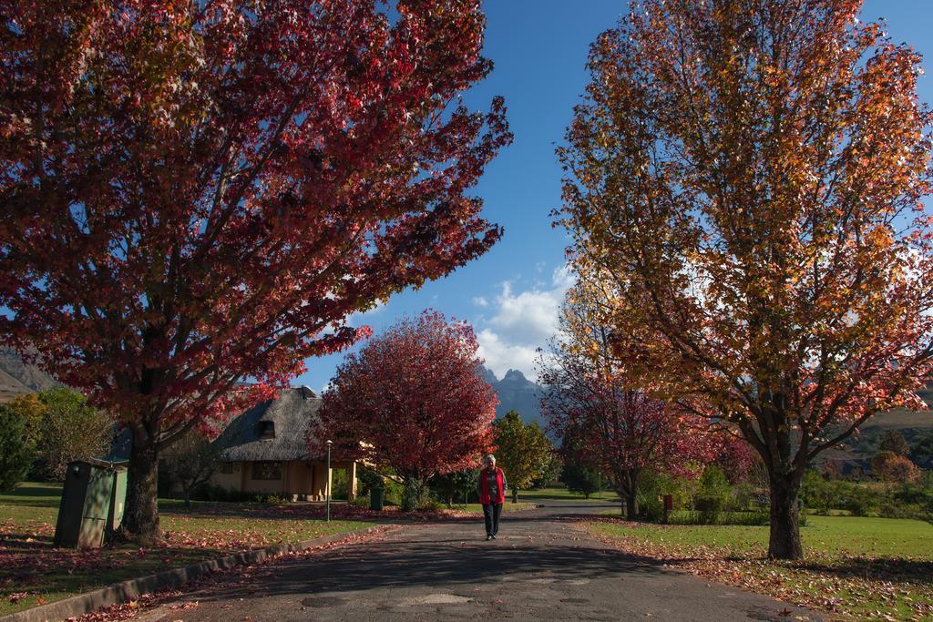 Вилла 20 Mount Champagne Champagne Valley Экстерьер фото